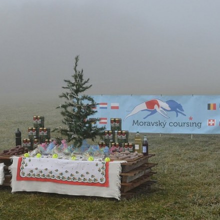 Vánoční coursing ve Vranově