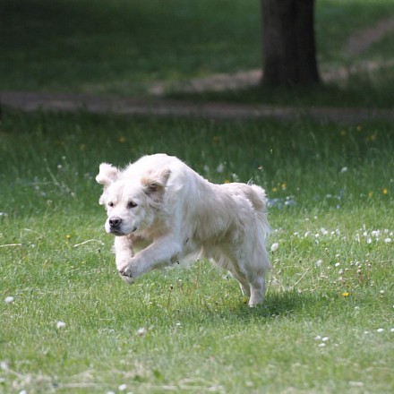Zámecký park